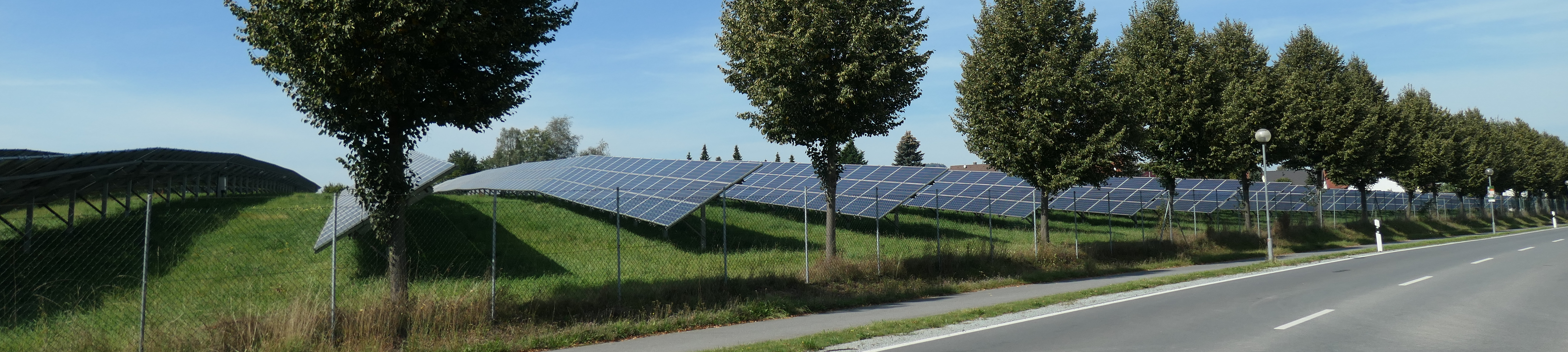 Eingezäunter Solarpark neben einer Baumreihe an einer Straße 