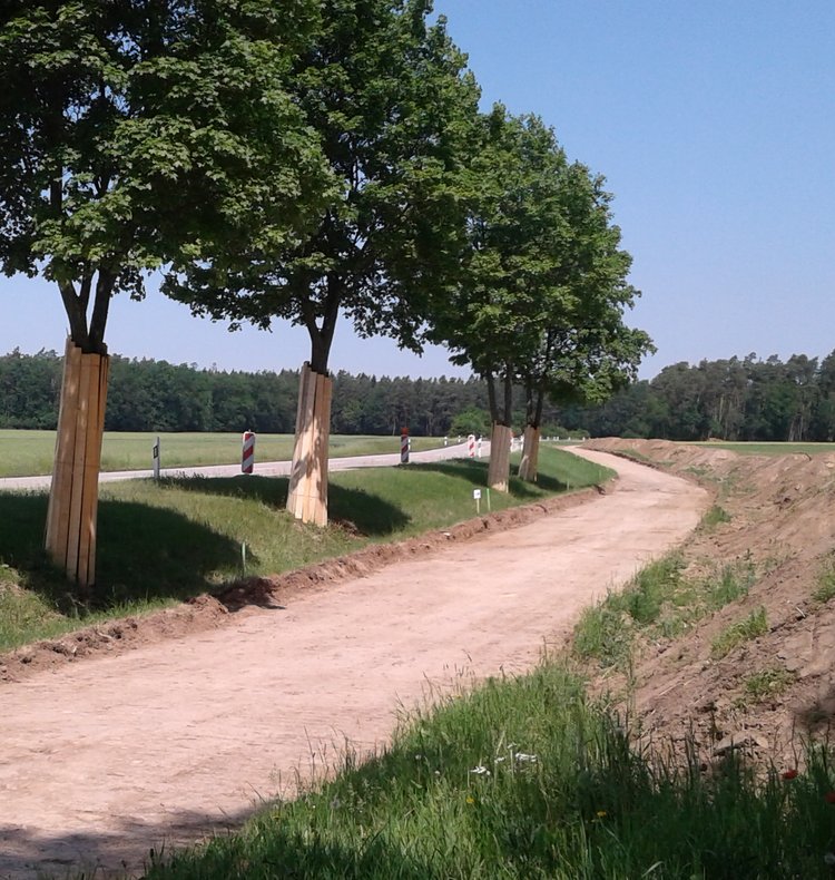 Ausbau eines Radwegs an einer Landstraße