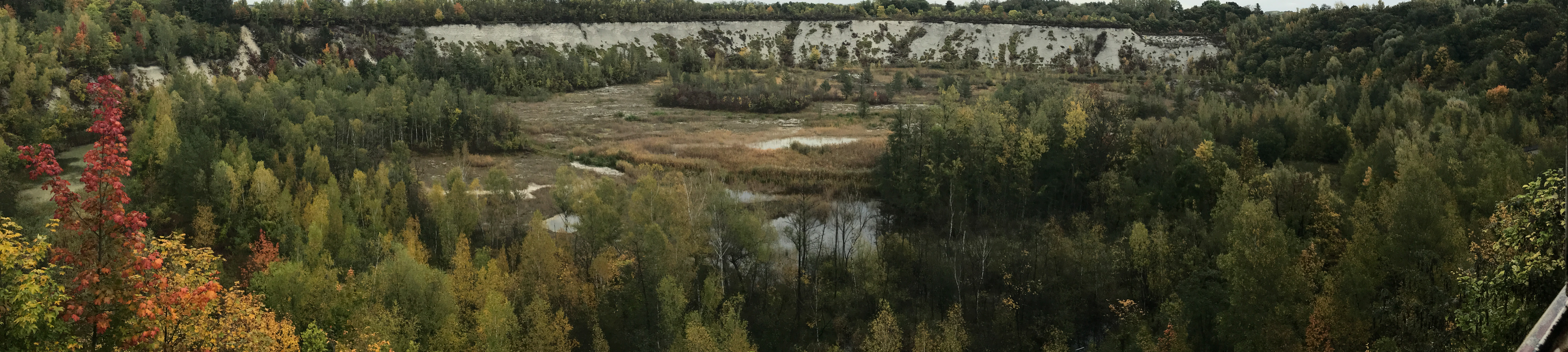 Waldbereiche mit Herbstfärbung und mittig ein Gewässer mit Mergelgrube