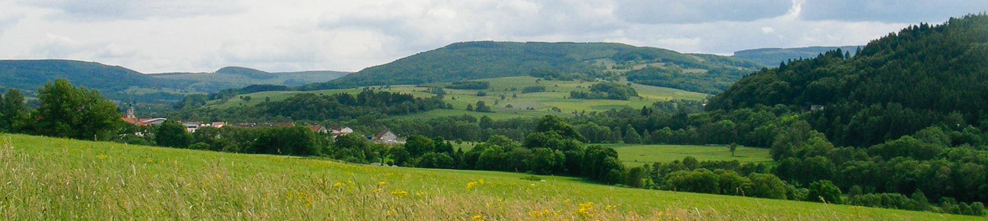 Hügelige Landschaft mit Gehölzgruppen, Ausschnitt einer Siedlung  und Bergen im Hintergrund