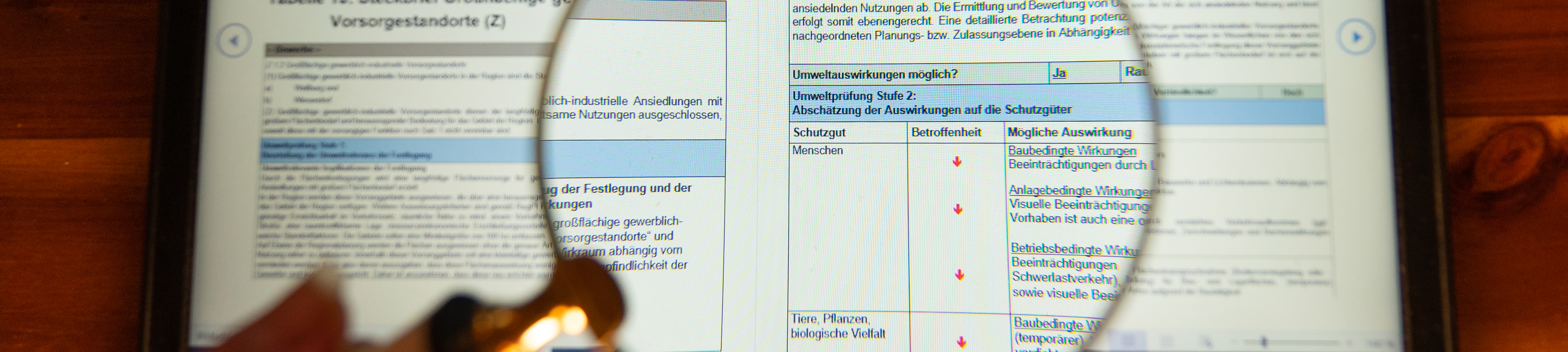 Luppe zeigt Ausschnitt eines Umweltprüfungsberichts auf dem Laptop 