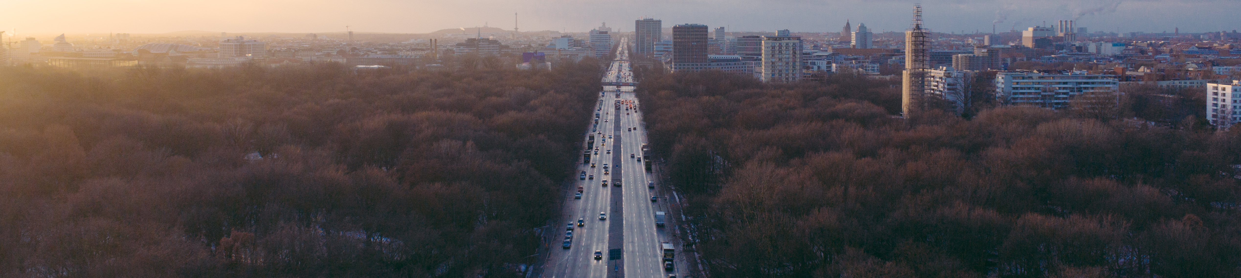 Aufsicht einer Straße die durch den Tiergarten in Berlin verläuft